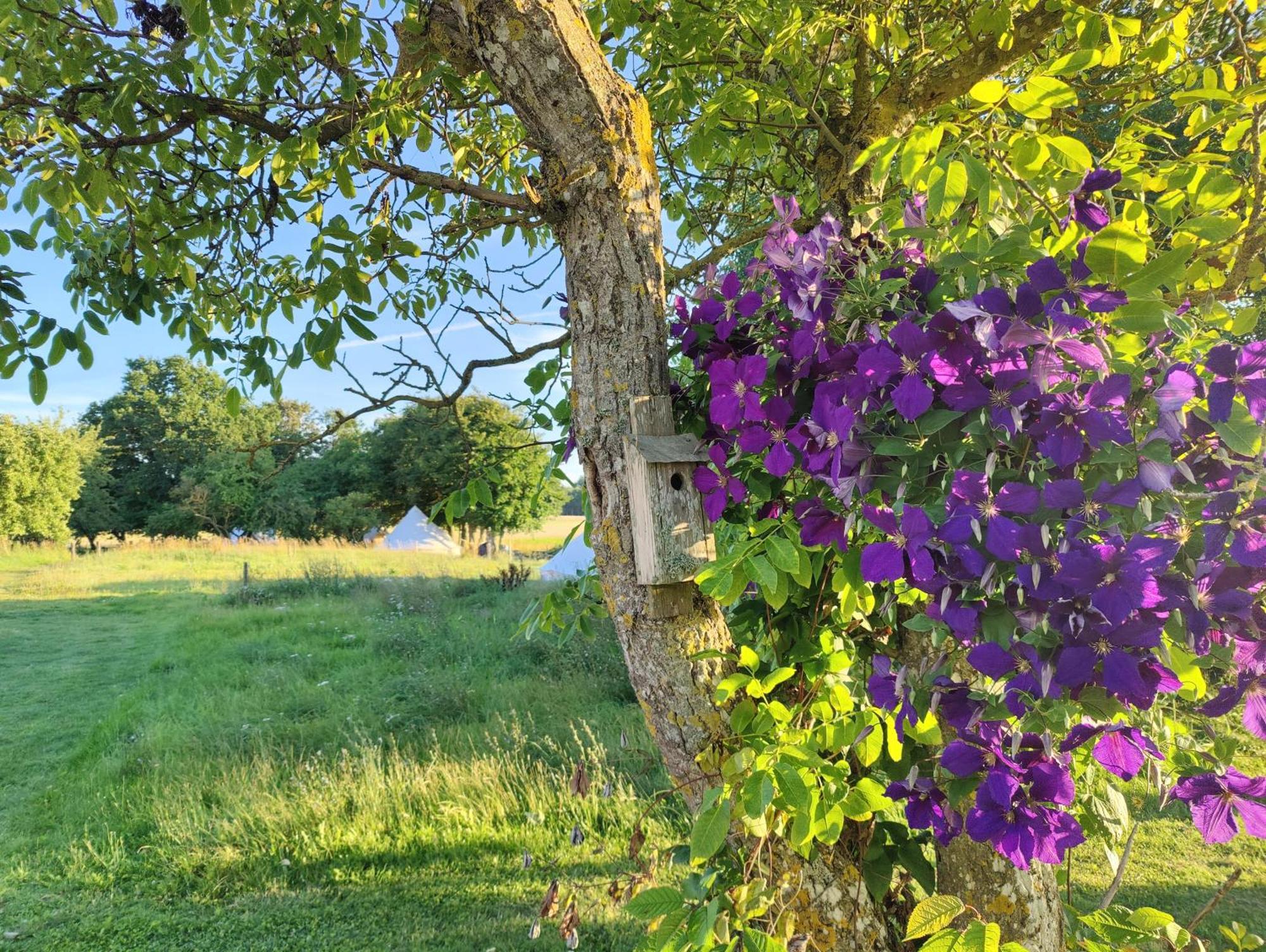 Under Canvas Bornholm Ostermarie Εξωτερικό φωτογραφία